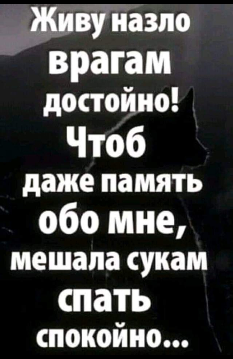 _ Живу назло врагам достойно Чтоб даже память обо мне мешала сукам шать спокойно