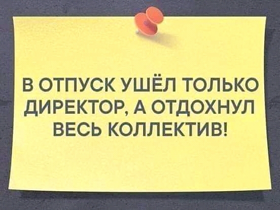 В ОТПУСК УШЁЛ ТОЛЬКО ДИРЕКТОР А ОТДОХНУЛ ВЕСЬ КОЛЛЕКТИВ
