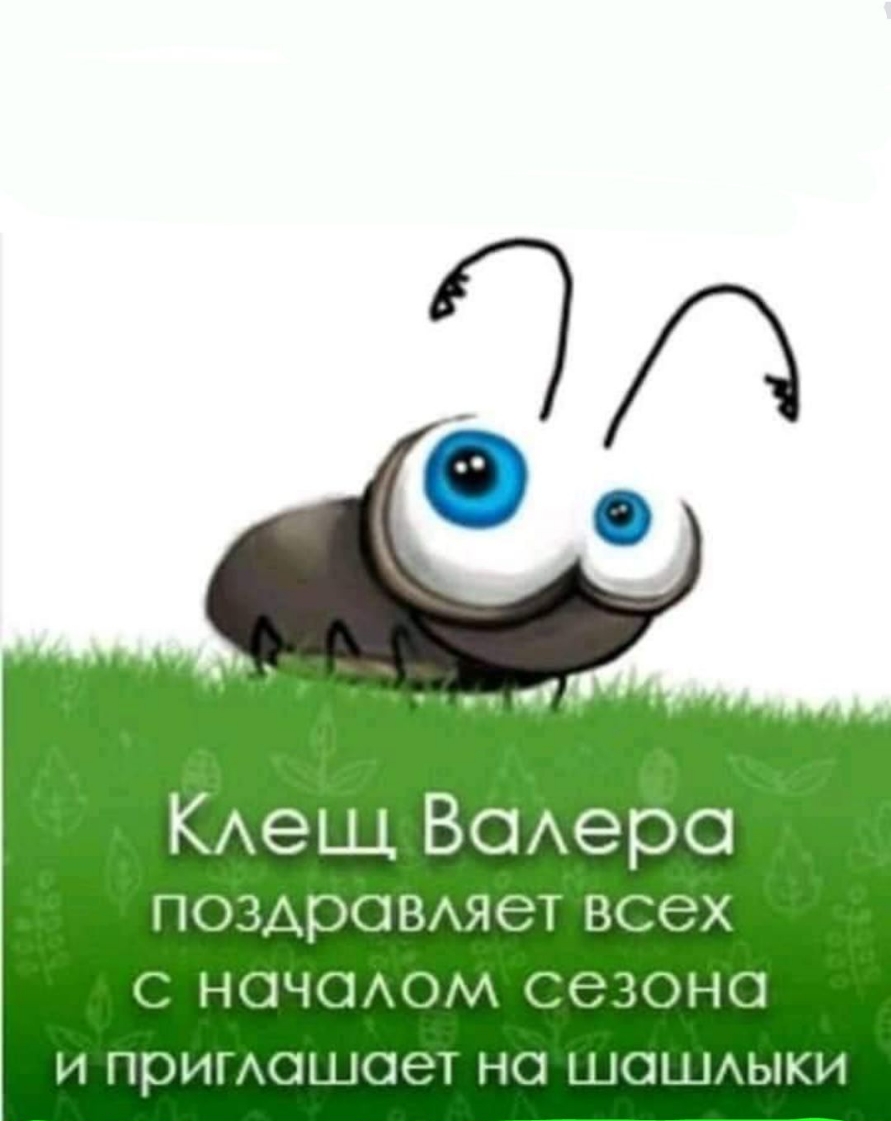 КАеЩ Всхера ПОЗАрОВАЯЭТ ВСЭХ НОЧОАОМ ССЗОНО И ПрИПАОЬЦОеТ НО ШОШАЫКИ