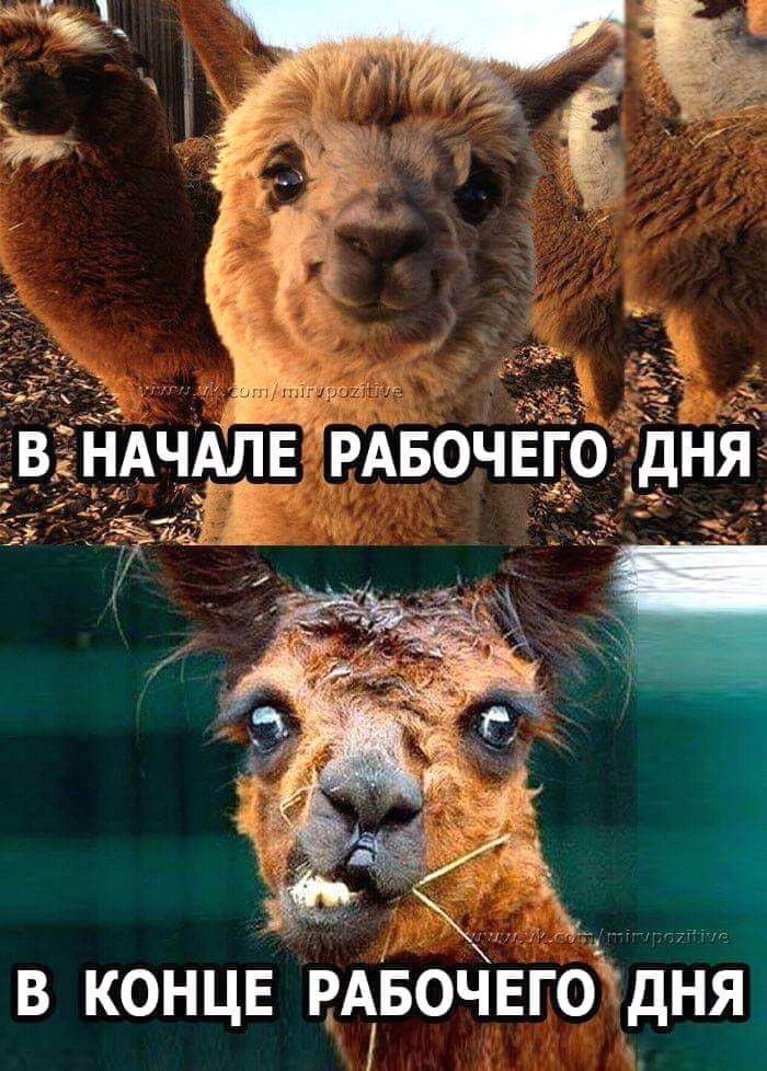 _Ё В НАЧАЛЕ РАБОЧЕЕРЪБНЯ г в концв щвочвгощня
