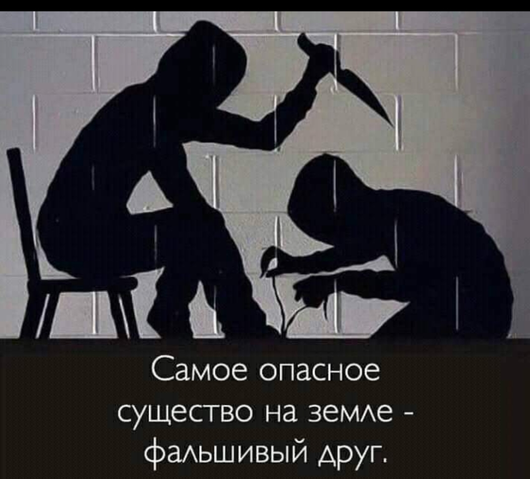 щ я Я Самое опасное существо на зеМАе фаАьшивый друг