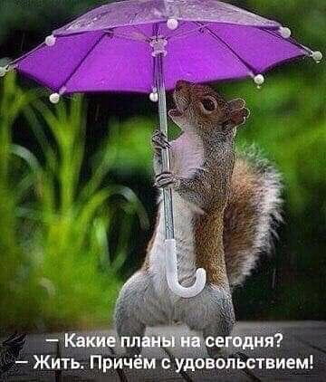 Жить рич уоЕОЛЬСТВИЕМ