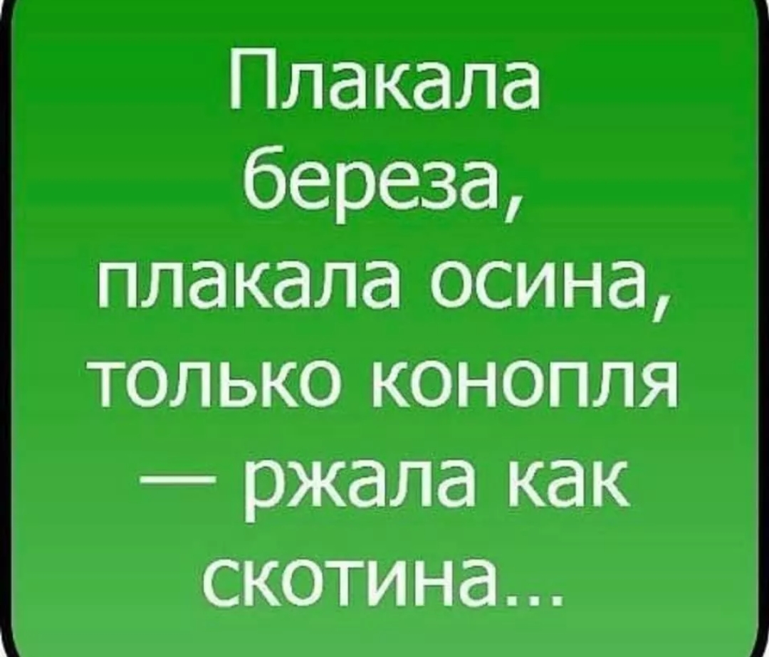 Плакала береза плакала осина только конопля ржала как скотина