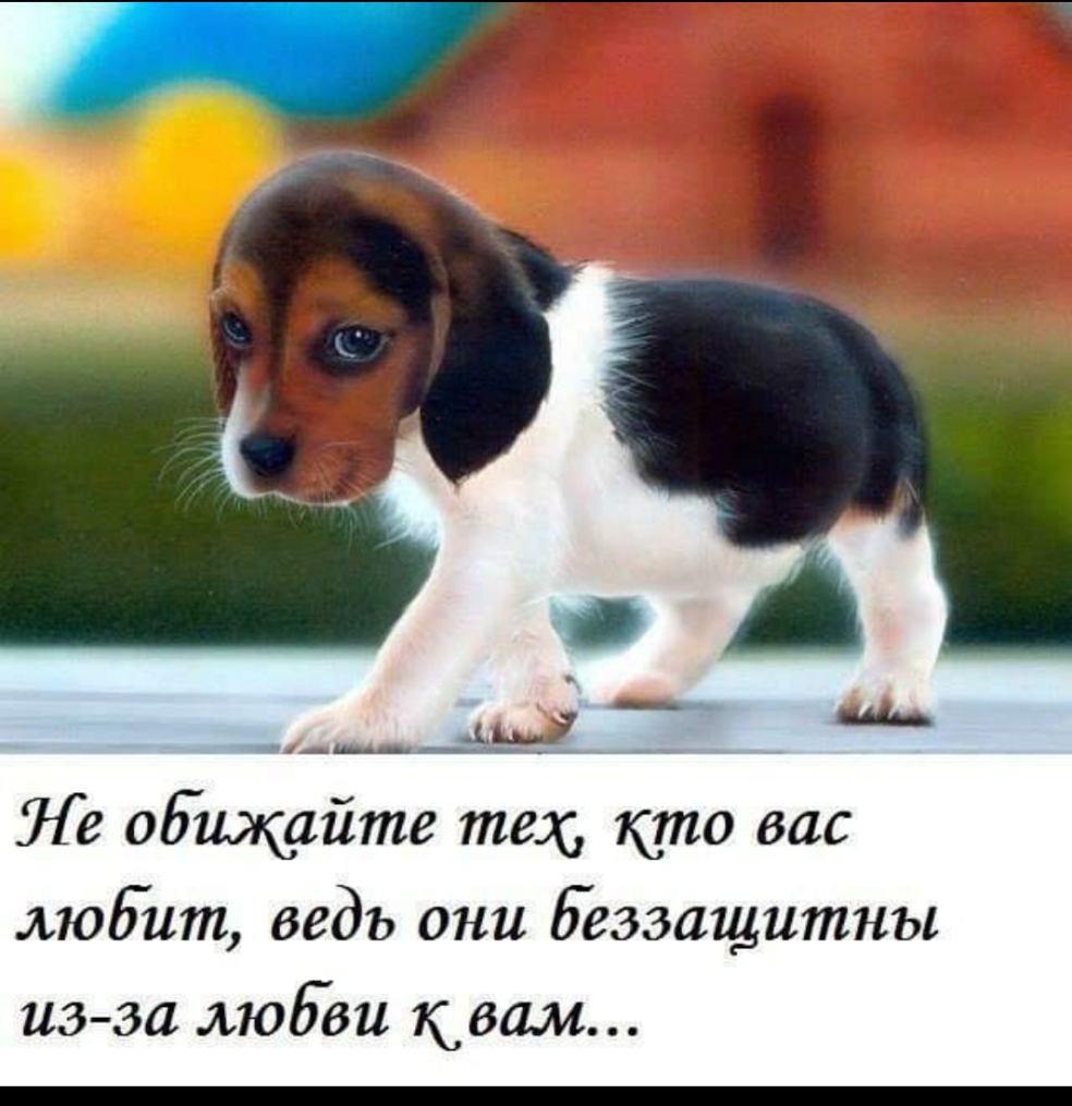 ___ь_ь _і ___ Ле общайте тех кто вас любит ведь они беззащитны изза любви квам