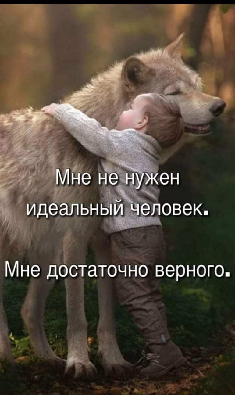 Мне достаточно верного