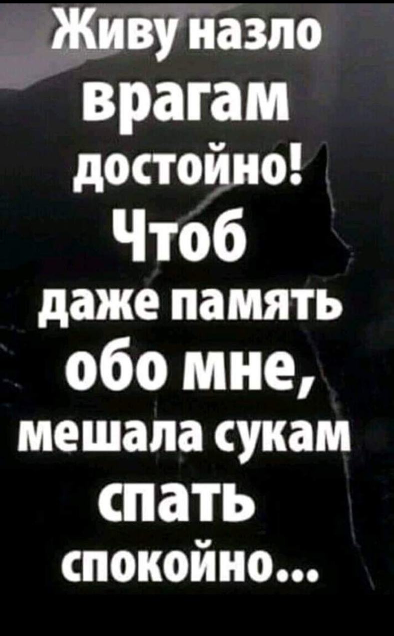 _ Живу назло врагам достойно Чтоб даже память обо мне мешала сукам спать спокойно