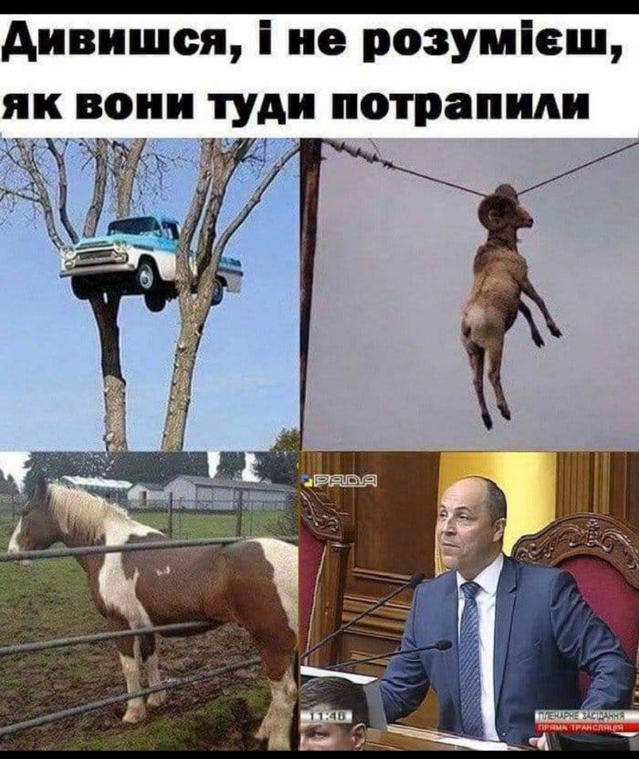 Аивишся і не розуміеш як вони туди потрапили