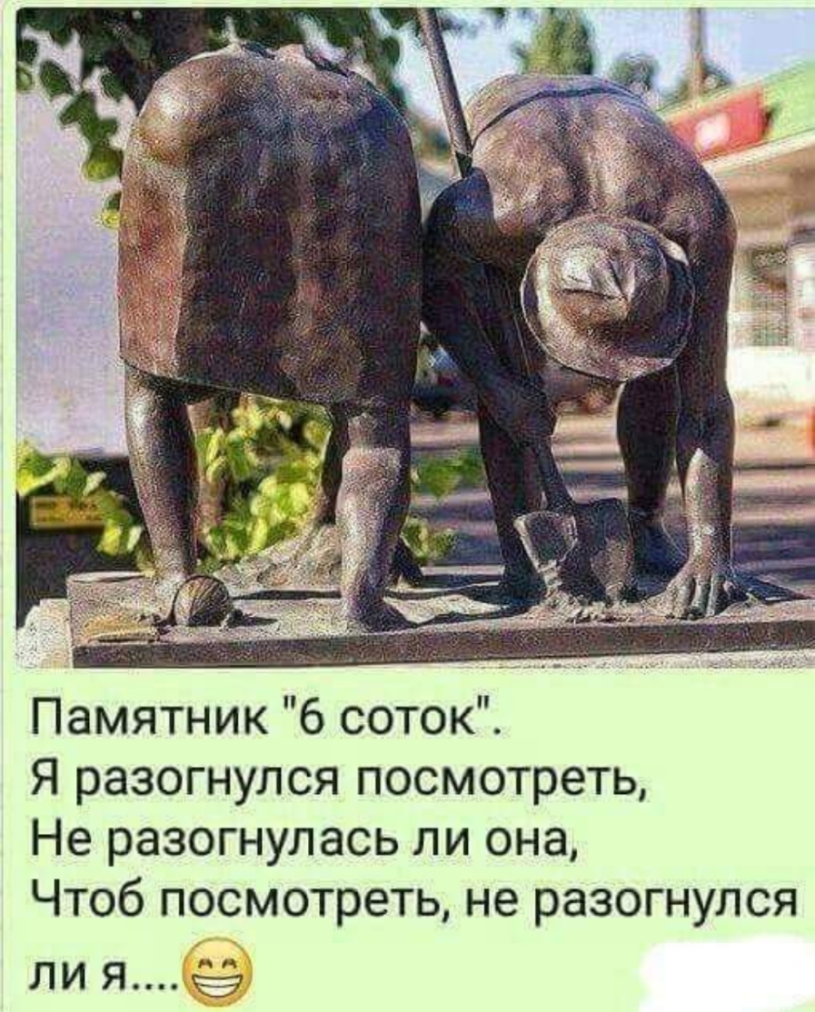 Памятник 6 соток Я разогнулся посмотреть Не разогнулась ли она Чтоб посмотреть не разогнулся ли я