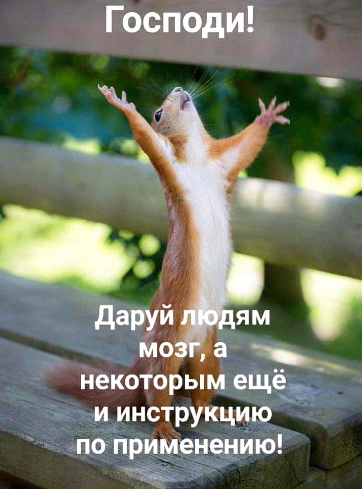 Господи некоТорым ещё и инструкцию по применению м