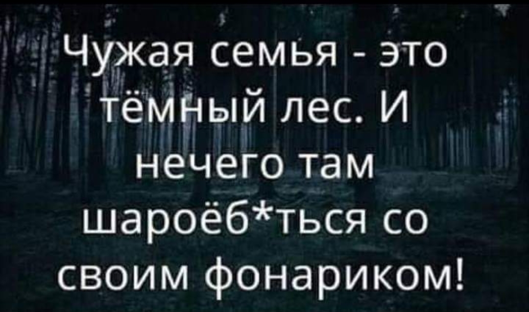 Чужая семья это нечего там шароёбться со своим фонариком