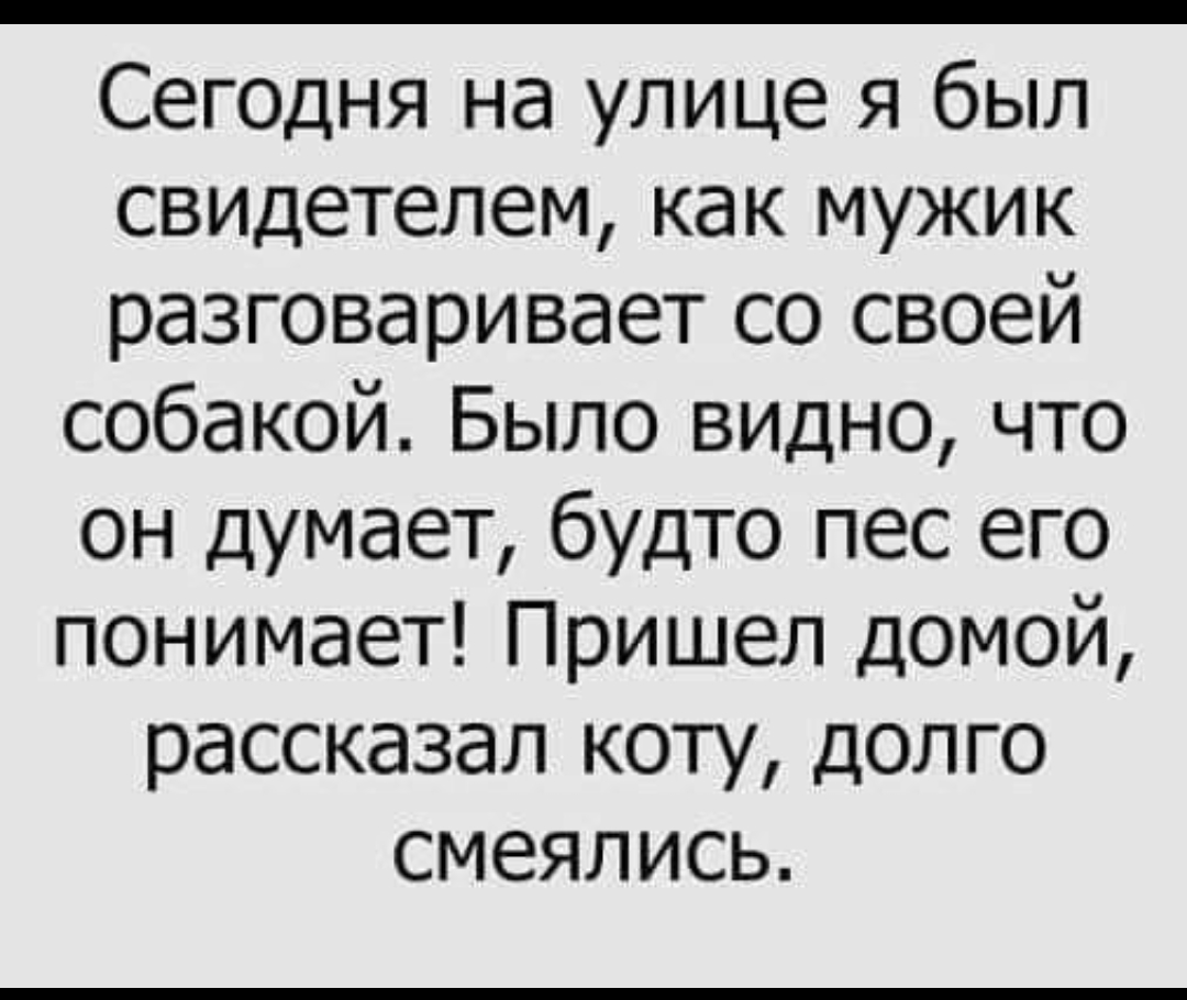 Сегодня на улице я был свидетелем как мужик разговаривает со своей собакой Было видно что он думает будто пес его понимает Пришел домой рассказал коту долго смеялись