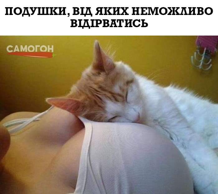 ПОДУШКИ ВШ ЯКИХ НЕМОЪКДИВО ВЩПВАТИСЪ САМОГОН __