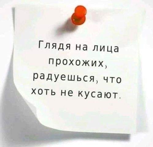 ГЛЯдя на лица прохожих радуешься что хоть не кусают