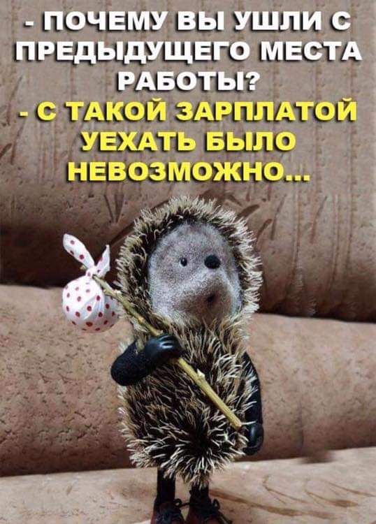 ЦОЧЕЩ БЫ ЦЩЦЦ С 11 1411 ЩЩЦ 16113311 ЕКПЦЕ і С ПЦЦП ЫЦ ЦЦЦЮП ЭД 11 ЕЦЦ