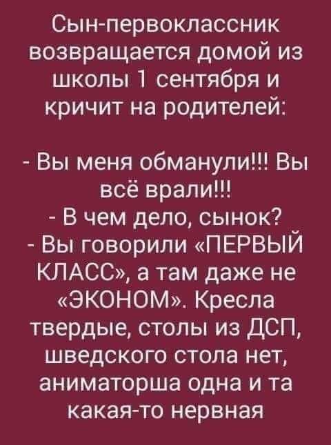 Сын первоклассник возвращается домой из школы 1 сентября и кричит на родителей Вы меня обманули Вы всё врали В чем дело сынок Вы говорили ПЕРВЫИ КЛАСС а там даже не ЭКОНОМ Кресла твердые столы из ДСП шведского стола нет аниматорша одна и та какая то нервная