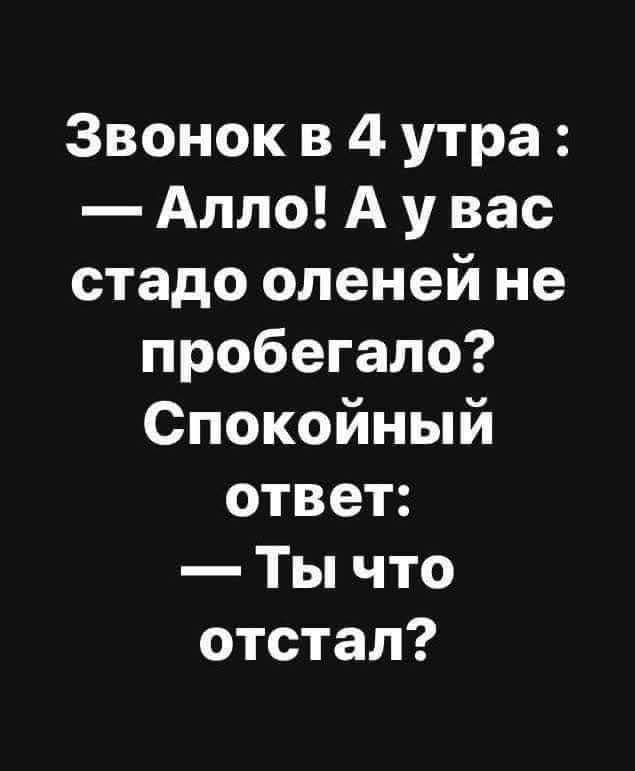Звонок в 4 утра Алло А у вас стадо оленей не пробегало Спокойный ответ Ты что отстал