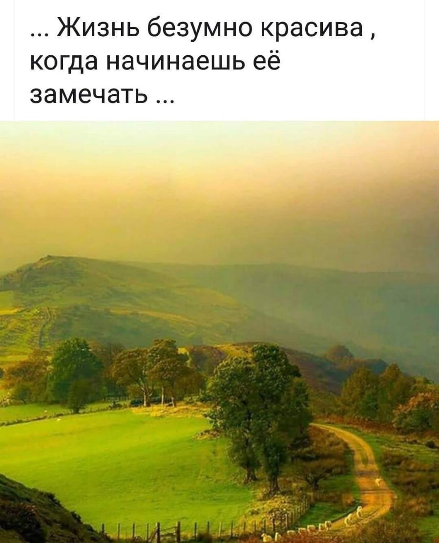 Жизнь безумно красива когда начинаешь её ЗЭМЕЧЭТЬ