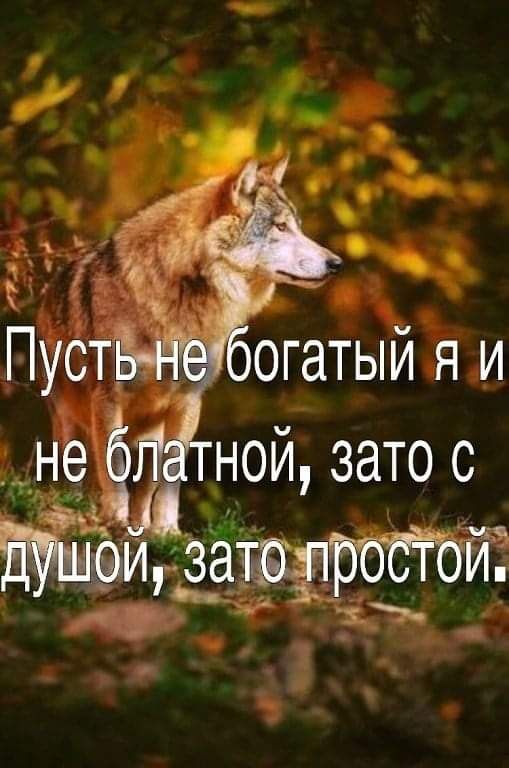 Пуст3огатый я и _ не ёПаігной зато с _ И вата и ТИ
