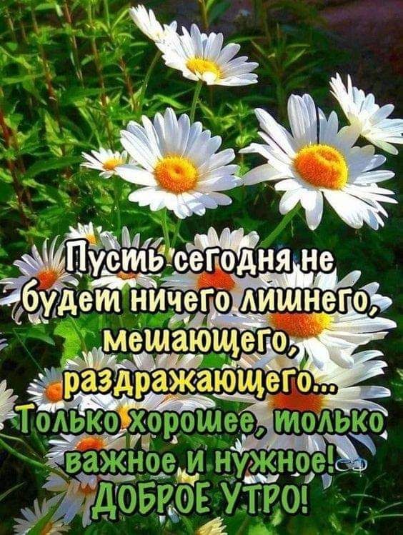 е _ Поцднй не грили дид не г а Щегм