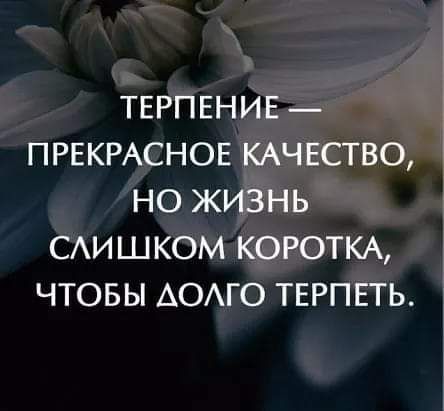 ТЕРПЕНИЕ ПРЕКРАСНОЕ КАЧЕСТВО НО ЖИЗНЬ САИШКОМ КОРОТКА ЧТОБЫ АОАГО ТЕРПЕТЬ