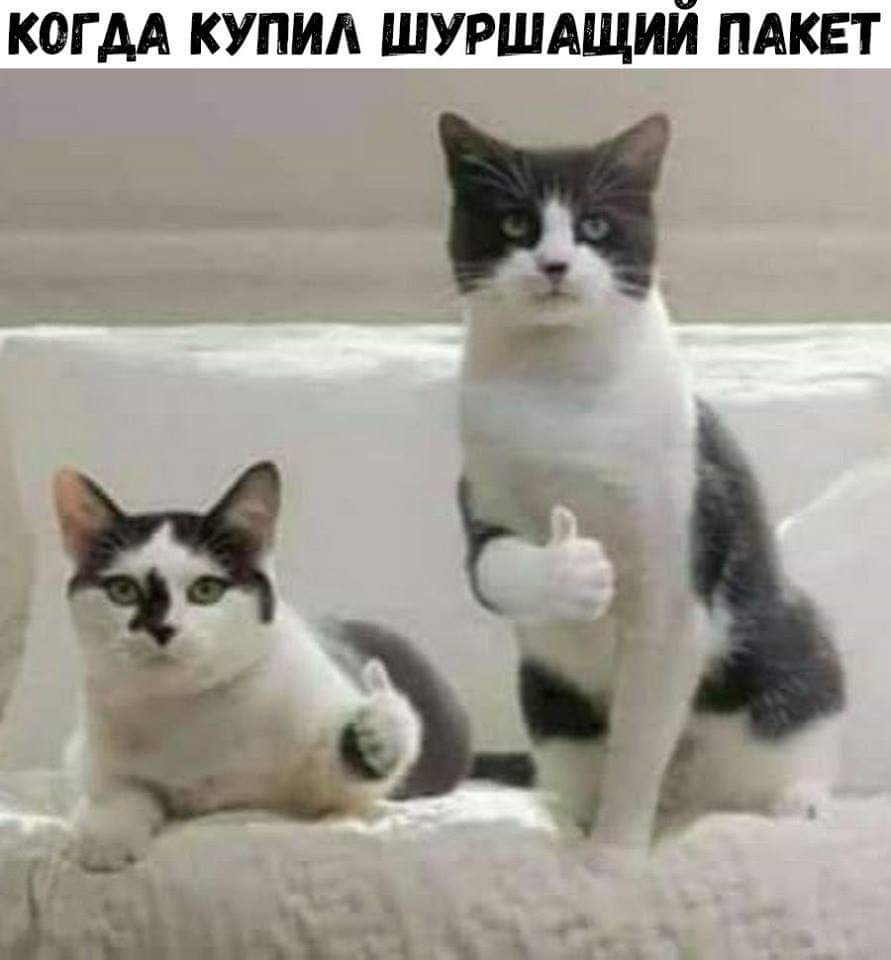 КОГДА КУПИЛ ШУРШАЩИЙ ПАКЕТ 3 __