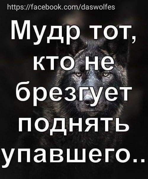 НПр5іасеЬоосотсіаэшоііез Мудр тот кто не брезёпует поднЯть упавшего