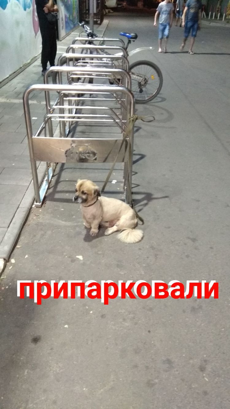 _ ИПЭРКОВЗЛИ