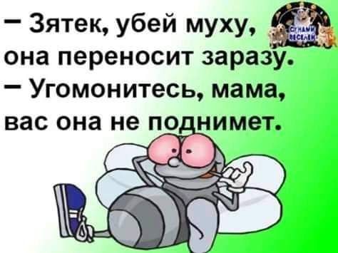 Зятек убей муху _ она переносит заразу Угомонитесь мама вас она не по нимет