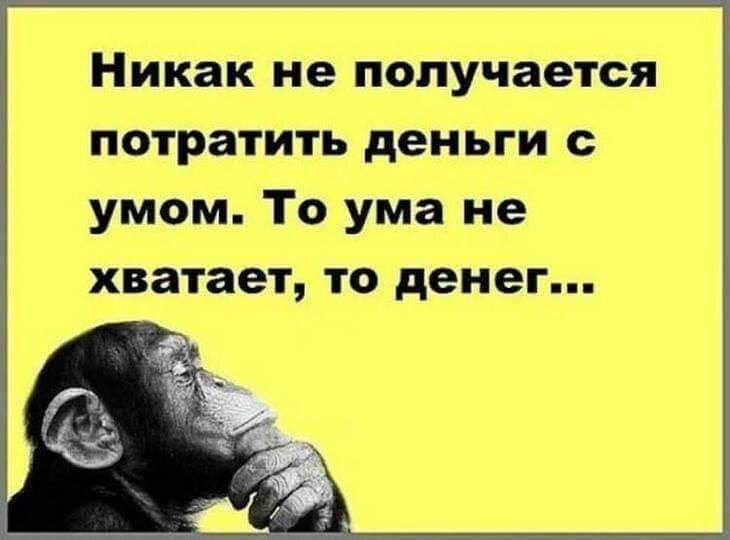 Никак не получается потратить деньги с умом То ума не хватает то денег
