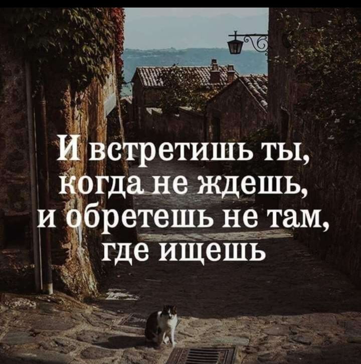 стретишь ты бретешь не там 7 где шЁешь