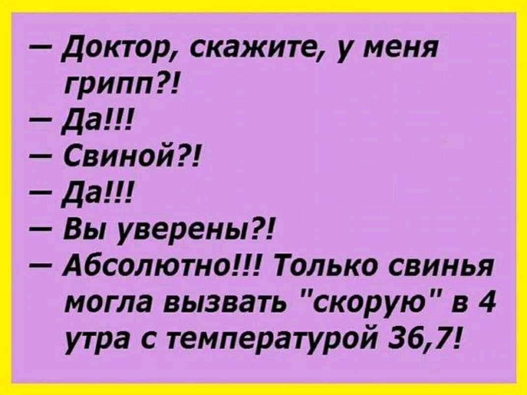 Доктор скажите у меня грипп Да Свино да Вы уверены Абсолютно Только свинья могла вызвать скорую в 4 утра с температурой 367