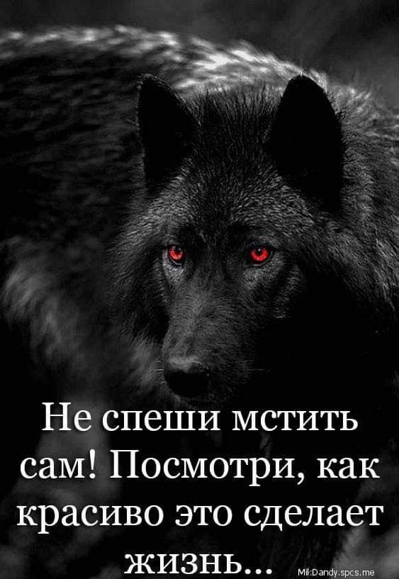 Не спеши мстить сам Посмотри как красиво это сделает жизнь