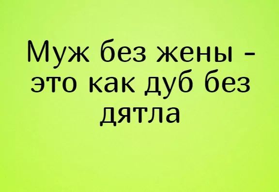 Муж без жены это как Дуб без дятла
