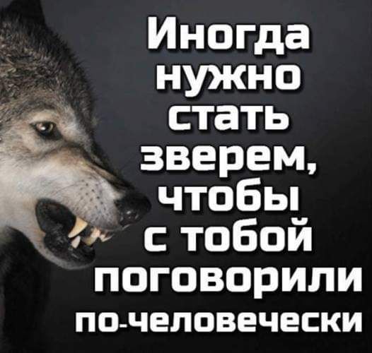 Инопда ъцпкно стать зверем чтобьп стобой поговорили ПО ЧЕЛОВЕЧЕСКИ