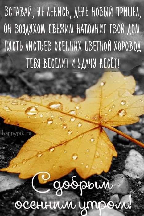 ьстявдиатйсь мнь ноъыи миша он воздухом съъжим ндпмнит тво ЛШЬ АИСТЬЕБ 00ЪЕТН0И Х0_ ТЕБЯ ВЕСЫИТИ НЁЁЁТЕ _