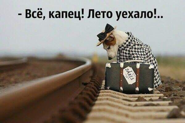 Всё капец Лето уехало
