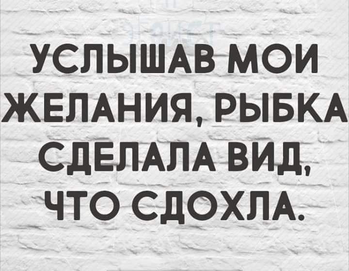 успыштмои ЖЕЛАНИЯ_РЫБКА СДЕЛАПАВИД что СдСХЛА