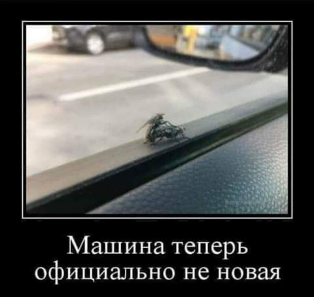 Машина теперь официально не новая