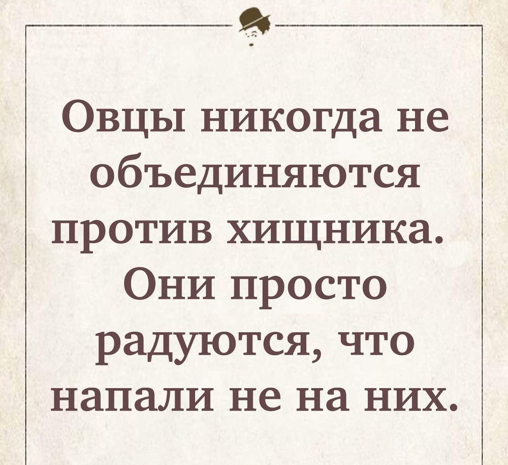 я Овцы никогда не объединяются против хищника Они просто радуются что напали не на них