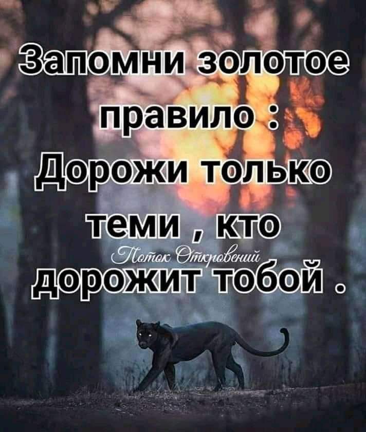 Ъ МЦ