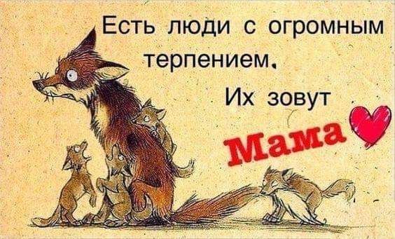 Есть люди с огромным терпением Их зовут