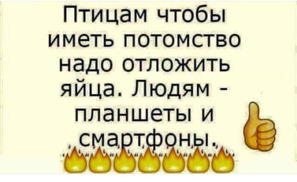 Птицам чтобы иметь потомство надо отложить яйца Людям ПЛЭНШЕТЫ И