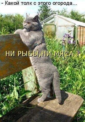 Какси толк этпго огорода