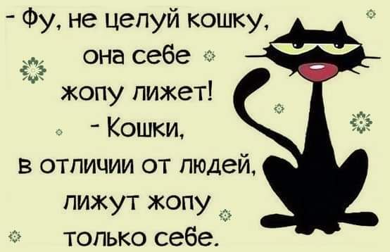Фу не цепуй кошку она себе жопу пижет Кошки в отличии от людей пижут жопу только себе