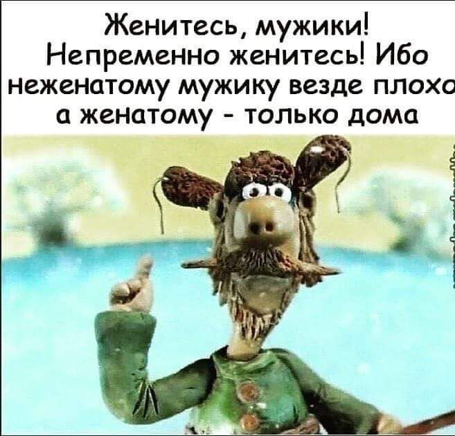 Женитесь мужики Непременно женитесь Ибо неженатому мужику везде плохо женатому только дома