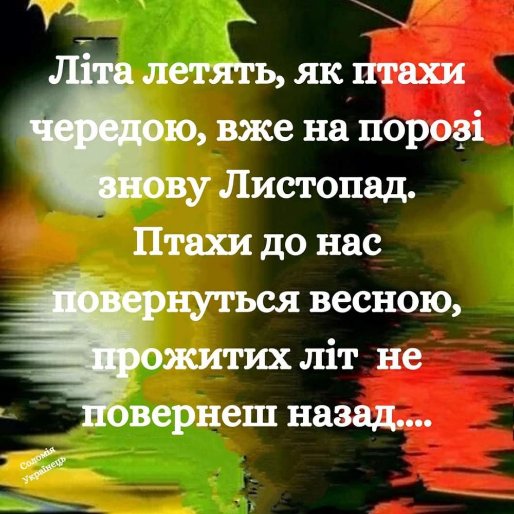 летять як птахи ю вже нгі порозі ву Листопад Птахи до нас нуться весною житих літ не вернеш назад 04