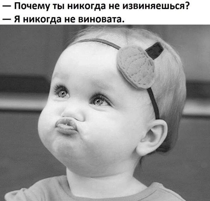 Почему ты никогда не извиняешься Я никогда не виновата