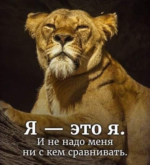 Я это я _ И не надо меня ни с кем сравнивать
