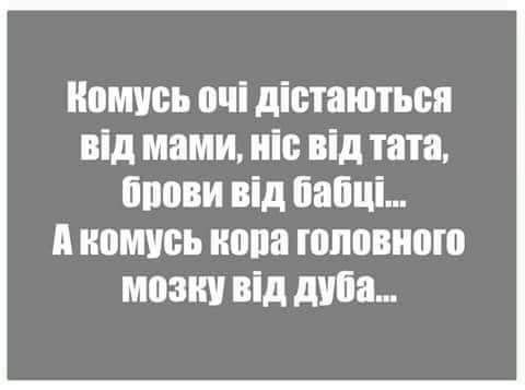 Номчоь очі діотаютьон від мами иіс від тата боови від паііці іі иомись копа головного мозіш від дуба