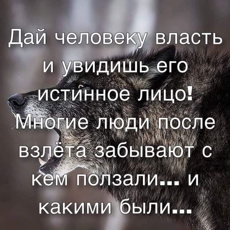 к попзали и какими были